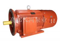 YTSP、YTSZ系列變頻調(diào)速三相異步電動(dòng)機(jī)